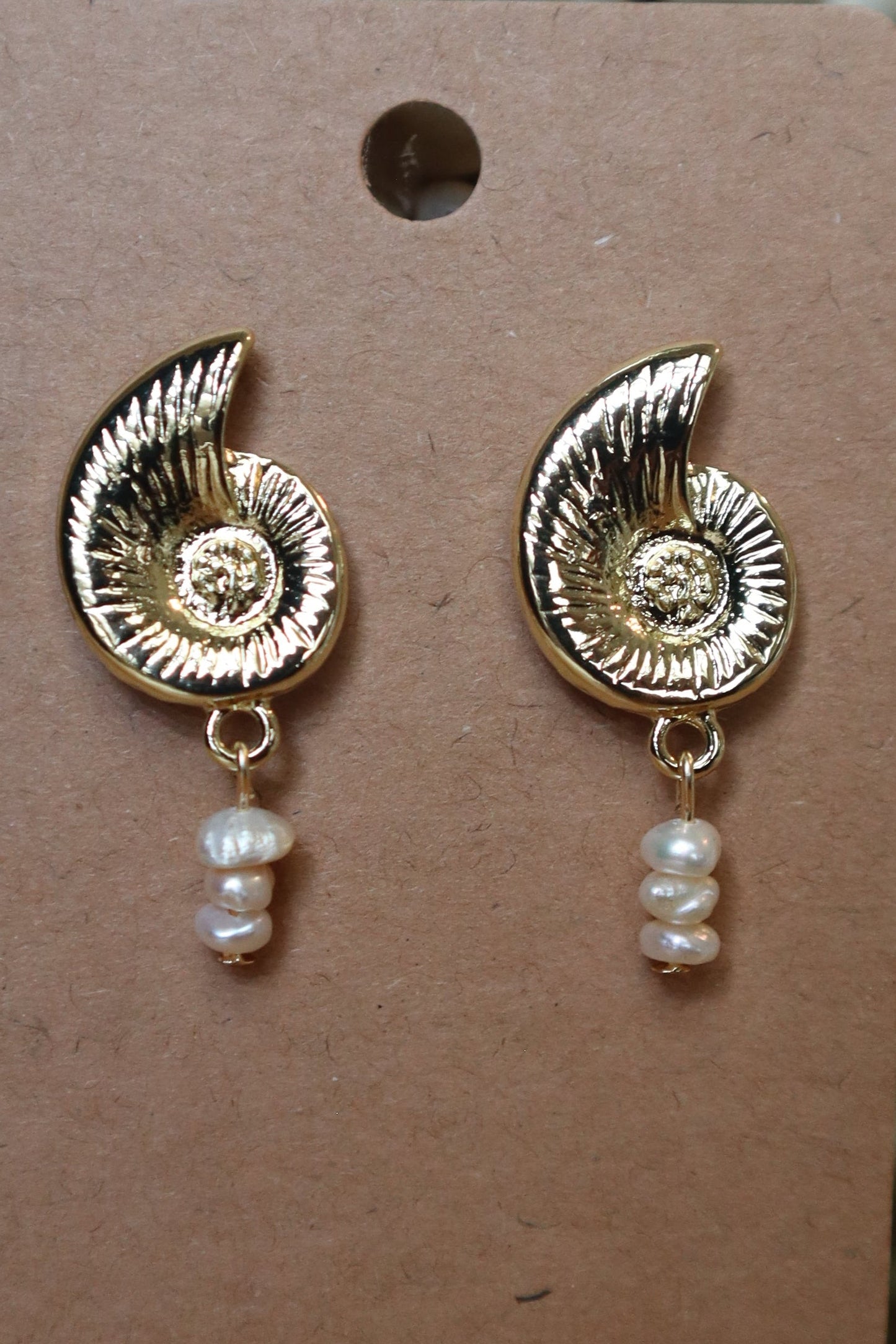 Snail Shell Earrings