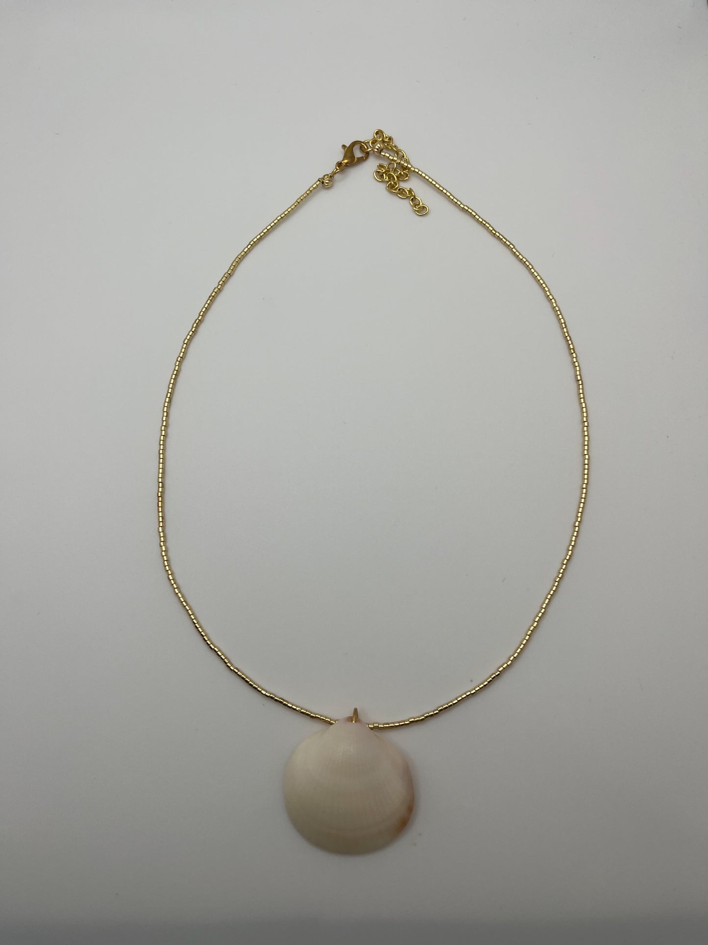 Shell Necklace