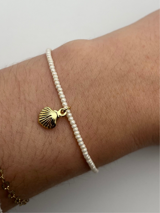 Scallop Charm Bracelet
