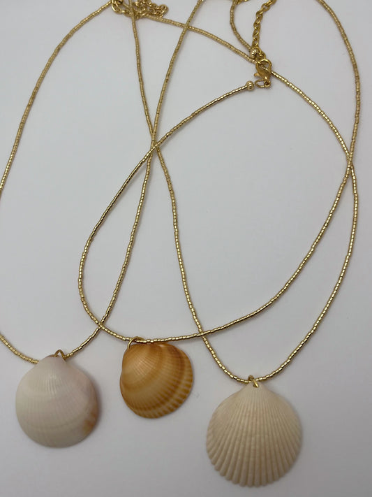 Shell Necklace