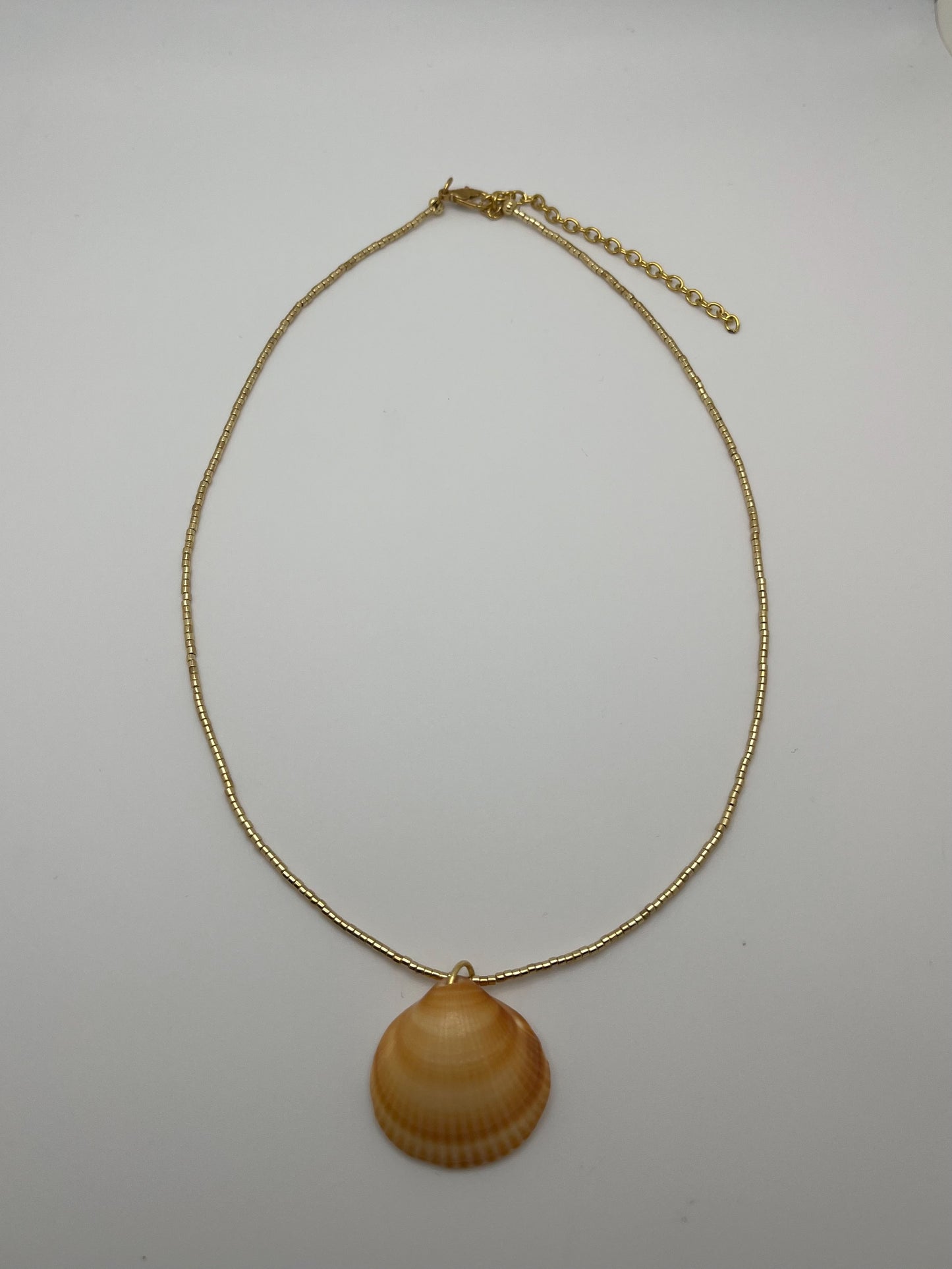 Shell Necklace