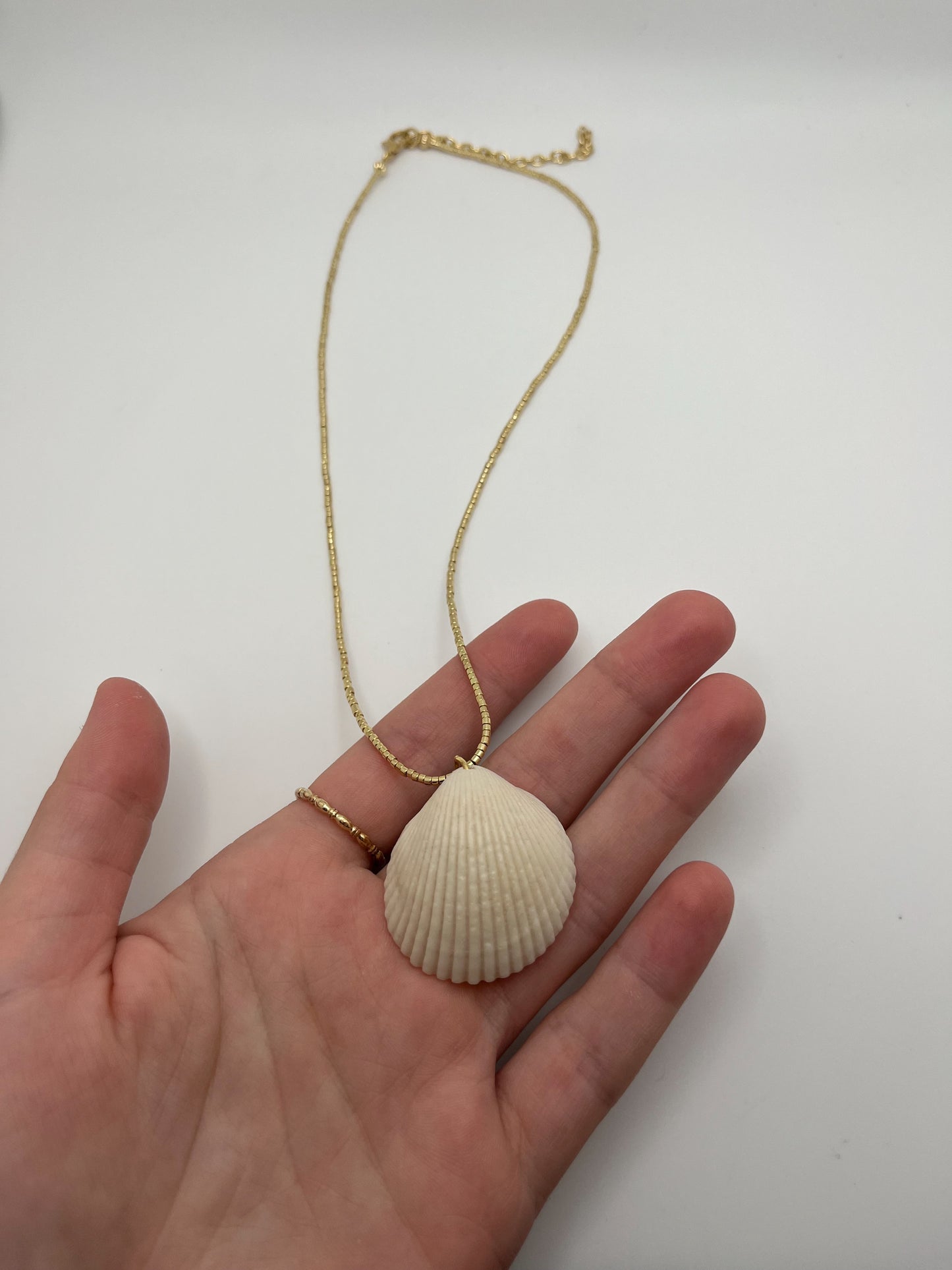 Shell Necklace